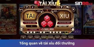 Tổng quan về tài xỉu đổi thưởng