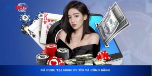 Cá cược tại SIN88 uy tín và công bằng